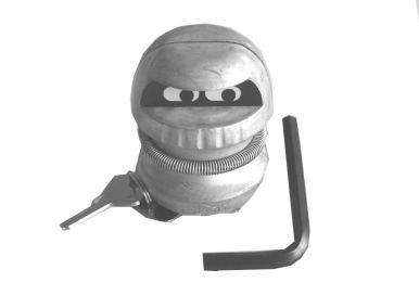 Anti-theft device (trailer cop)